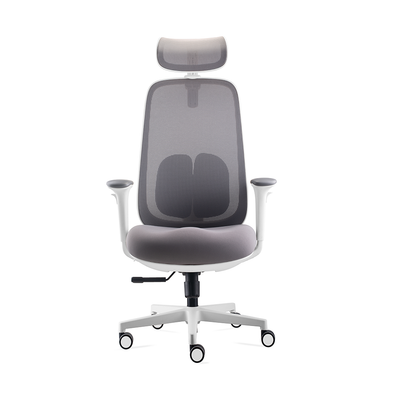 Classic Ergonomic Modern Adjustable Low Price Luxury Business Task Staff Mesh Office Chair
