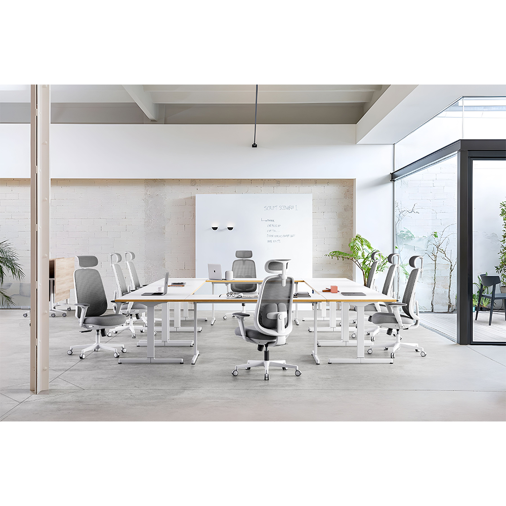 Classic Ergonomic Modern Adjustable Low Price Luxury Business Task Staff Mesh Office Chair
