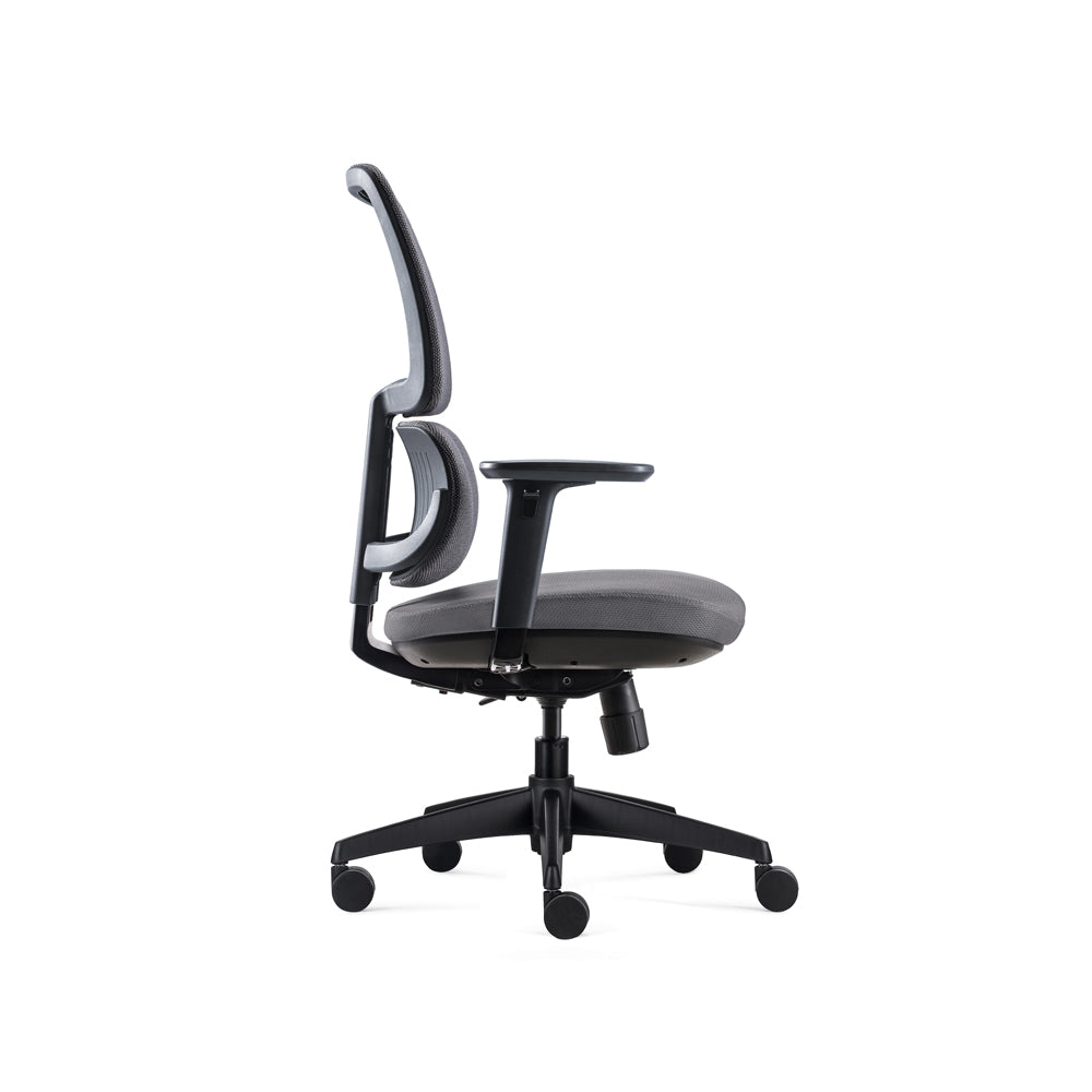 D00239