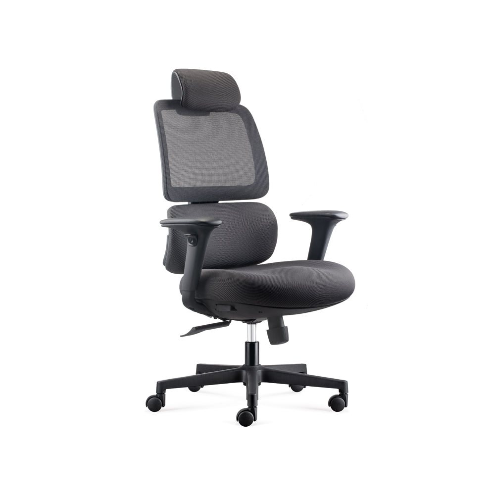 D00239