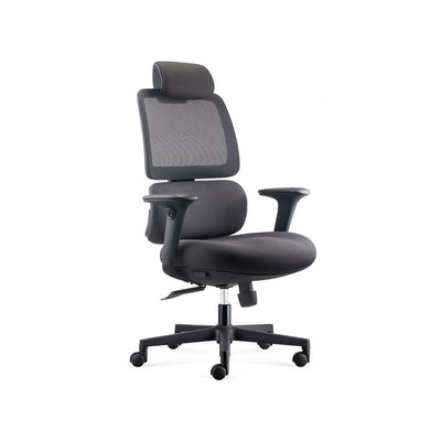 D00239