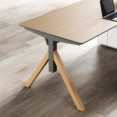 Executive Office Desk with Integrated Storage Cabinet
