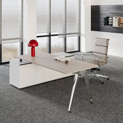 Professional Manager Desk - Executive Office Desk with Storage Pedestal